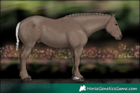 Horse Color:Silver Black 