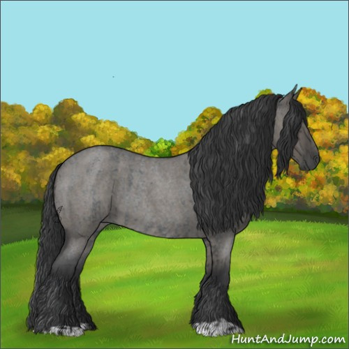 Horse Color:Blue Roan and Grullo Roan