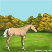 Horse Color:Silver Amber Cream Champagne Tobiano 