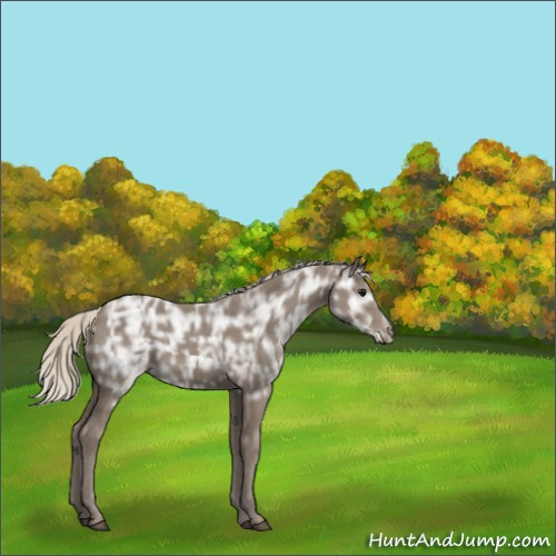 Horse Color:Silver Smoky Black Ice 
