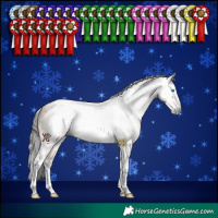 Horse Color:Gray Amber Champagne Splash Tobiano Rabicano
