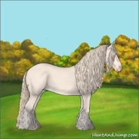 Horse Color:Perlino 