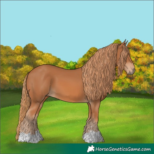 Horse Color:Chestnut 
