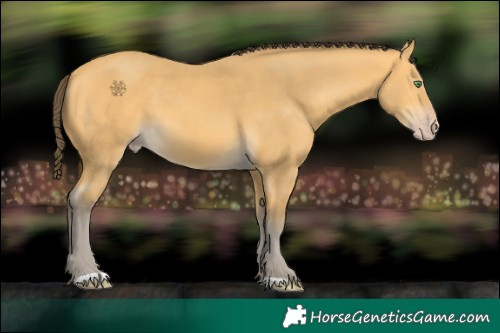 Horse Color:Amber Cream Champagne 