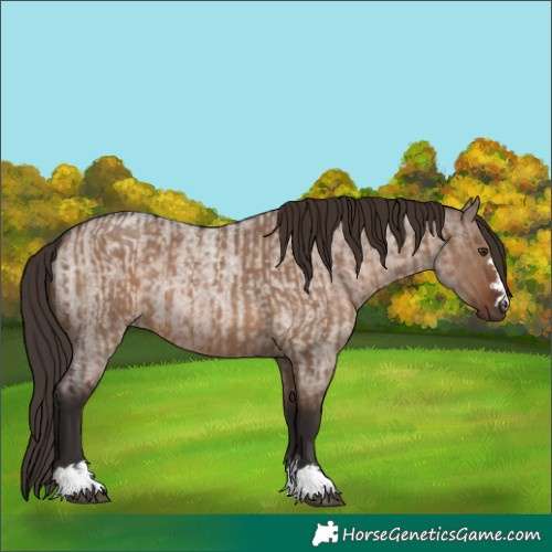 Horse Color:Liver Red Dun  and Liver Red Dun Roan 