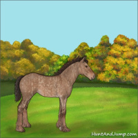 Horse Color:Liver Red Dun and Liver Red Dun