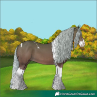 Horse Color:Silver Bay Splash Tobiano 