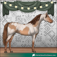 Horse Color:Red Dun  and Red Dun Roan 