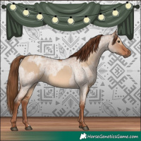 Horse Color:Red Dun  and Red Dun Roan 