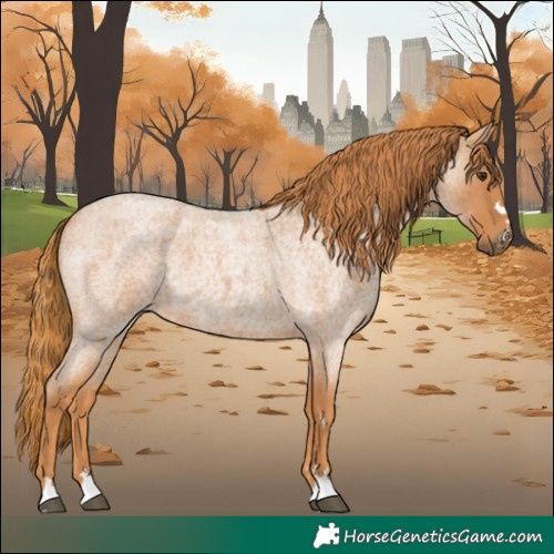 Horse Color:Red Roan 