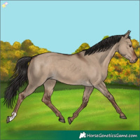 Horse Color:Liver Red Dun  and Liver Red Dun 