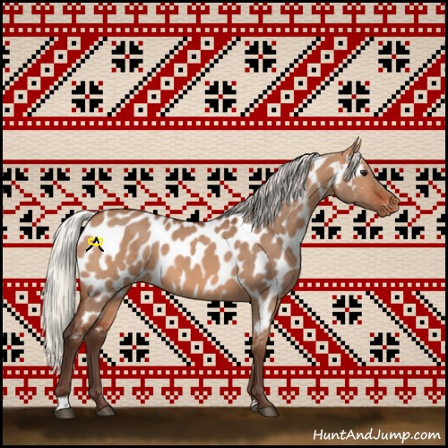 Horse Color:Silver Brown Dun Near Leopard 