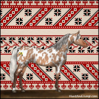 Horse Color:Silver Brown Dun Near Leopard