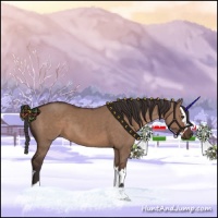 Horse Color:Liver Red Dun  and Liver Red Dun Splash 