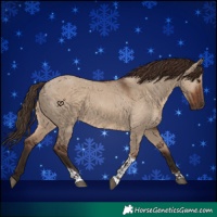 Horse Color:Liver Red Dun  and Liver Red Dun Tobiano 