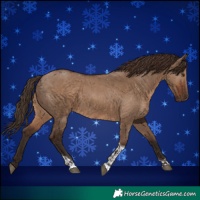 Horse Color:Liver Red Dun  and Liver Red Dun Tobiano 