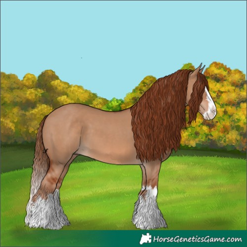 Horse Color:Red Dun and Red Dun Splash