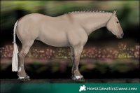 Horse Color:Silver Grullo 