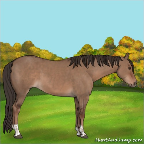 Horse Color:Liver Red Dun  and Liver Red Dun 