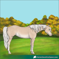 Horse Color:Silver Smoky Creme 