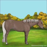 Horse Color:Silver Black