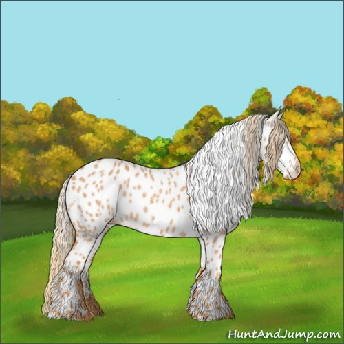 Horse Color:Red Roan Appaloosa