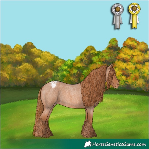Horse Color:Red Roan Appaloosa 