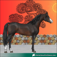 Horse Color:Brown Sabino