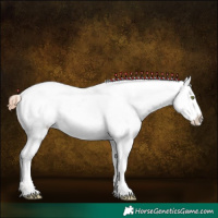 Horse Color:Gold Champagne Dun Appaloosa  and Gold Champagne Dun Appaloosa 