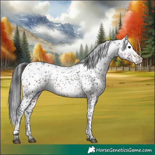 Horse Color:Brown Sabino