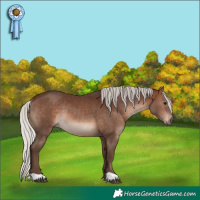 Horse Color:Silver Brown Rabicano