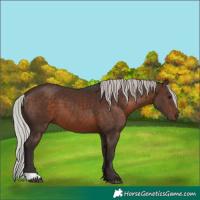 Horse Color:Silver Brown 