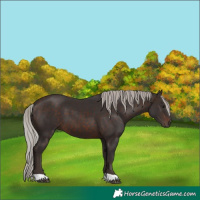 Horse Color:Silver Brown 