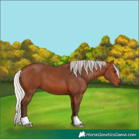 Horse Color:Silver Brown 