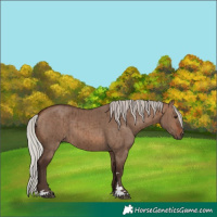 Horse Color:Silver Brown Dun Brindle