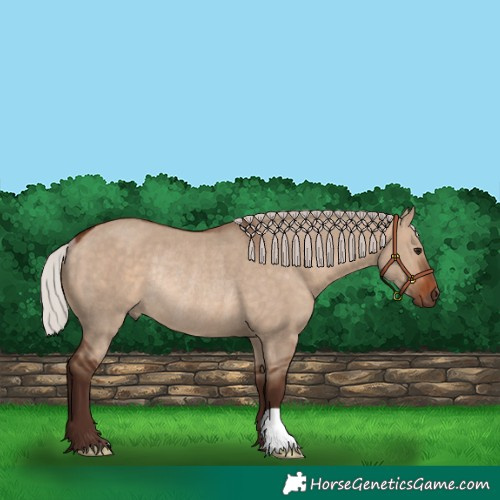 Horse Color:Silver Brown Dun Rabicano 