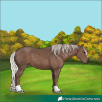 Horse Color:Silver Black