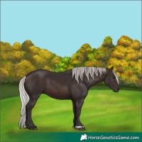 Horse Color:Silver Brown 