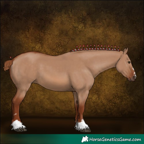 Horse Color:Red Dun