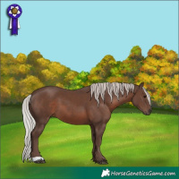 Horse Color:Silver Black 
