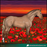 Horse Color:Red Dun and Red Dun