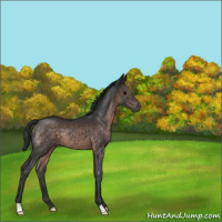 Horse Color:Brown 