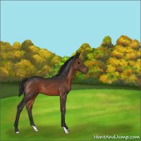 Horse Color:Brown 