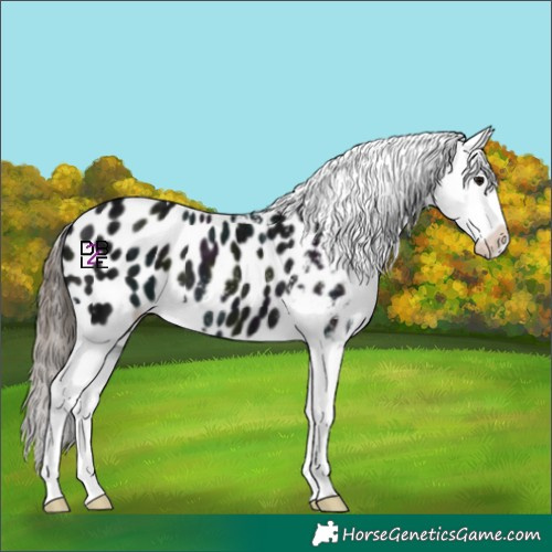 Horse Color:Midnight Black Ice Blanket