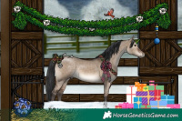Horse Color:Brown Dun Rabicano