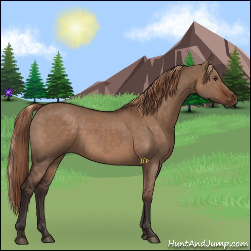 Horse Color:Liver Red Dun  and Liver Red Dun 