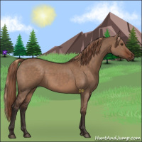 Horse Color:Liver Red Dun  and Liver Red Dun 