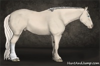 Horse Color:Cremello 