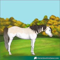 Horse Color:Buckskin Roan Dun Splash Rabicano 
