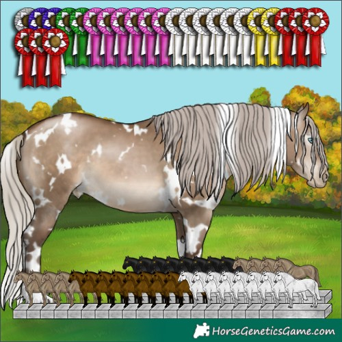 Horse Color:Gray White Spotted Silver Brown Pearl Dun 